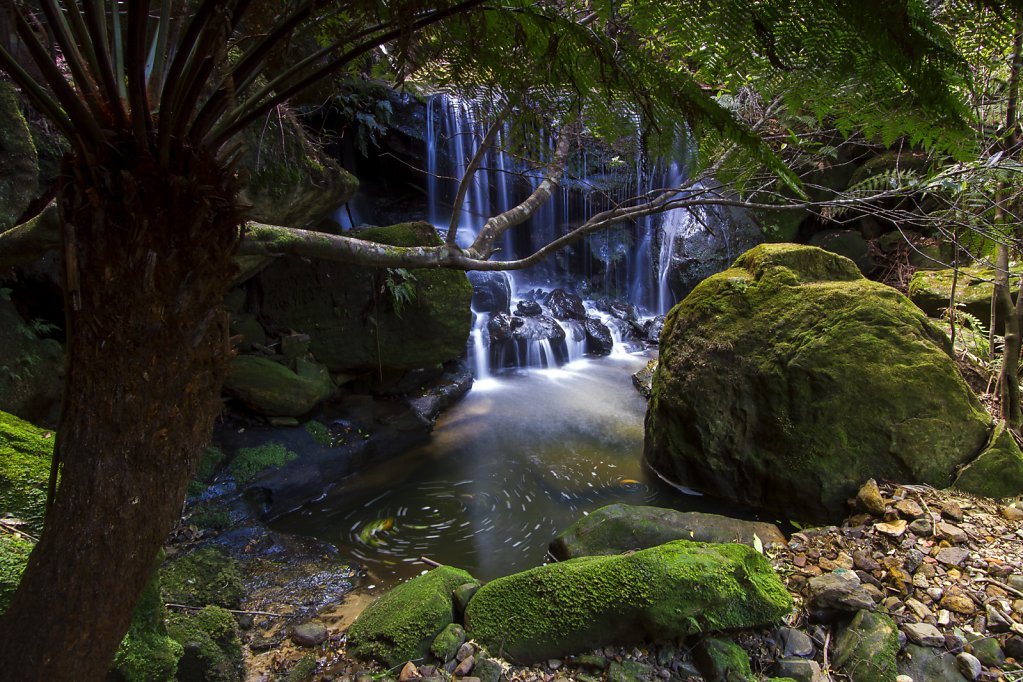 Leura Cascades NSW